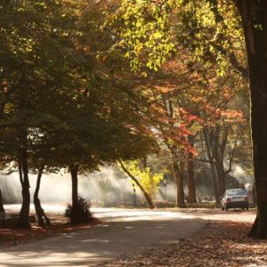 201508211229457370901