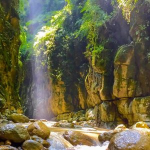 تنگه دار یا خانیکان