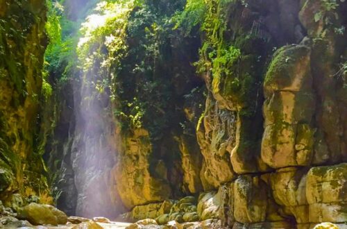 تنگه دار یا خانیکان تنگه دار یا خانیکان
